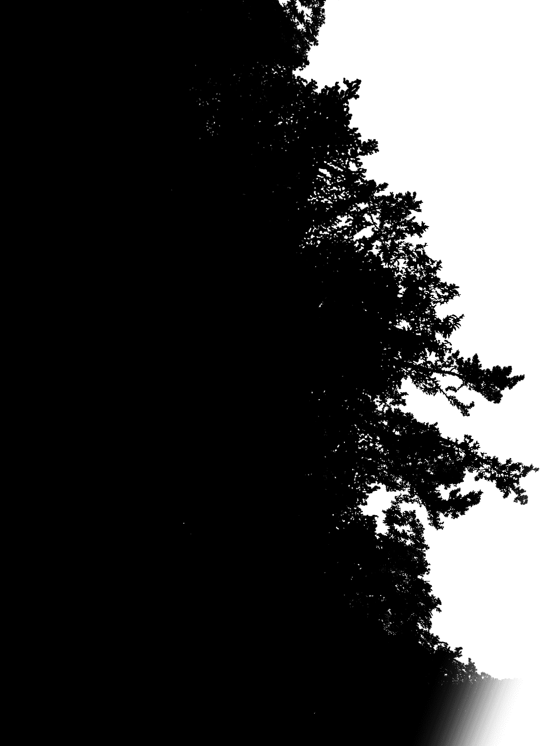 Left visual